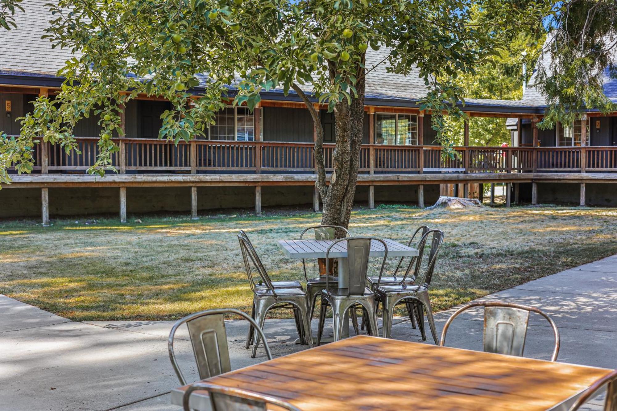 Shasta View Lodge McCloud ภายนอก รูปภาพ